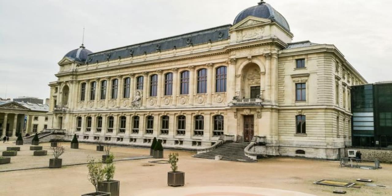 baskentte muze soygunu 29 milyonluk altin calindi k2BMYwON