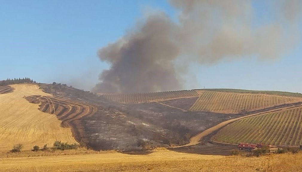 canakkalede tarim arazisinde yangin madvnOeu