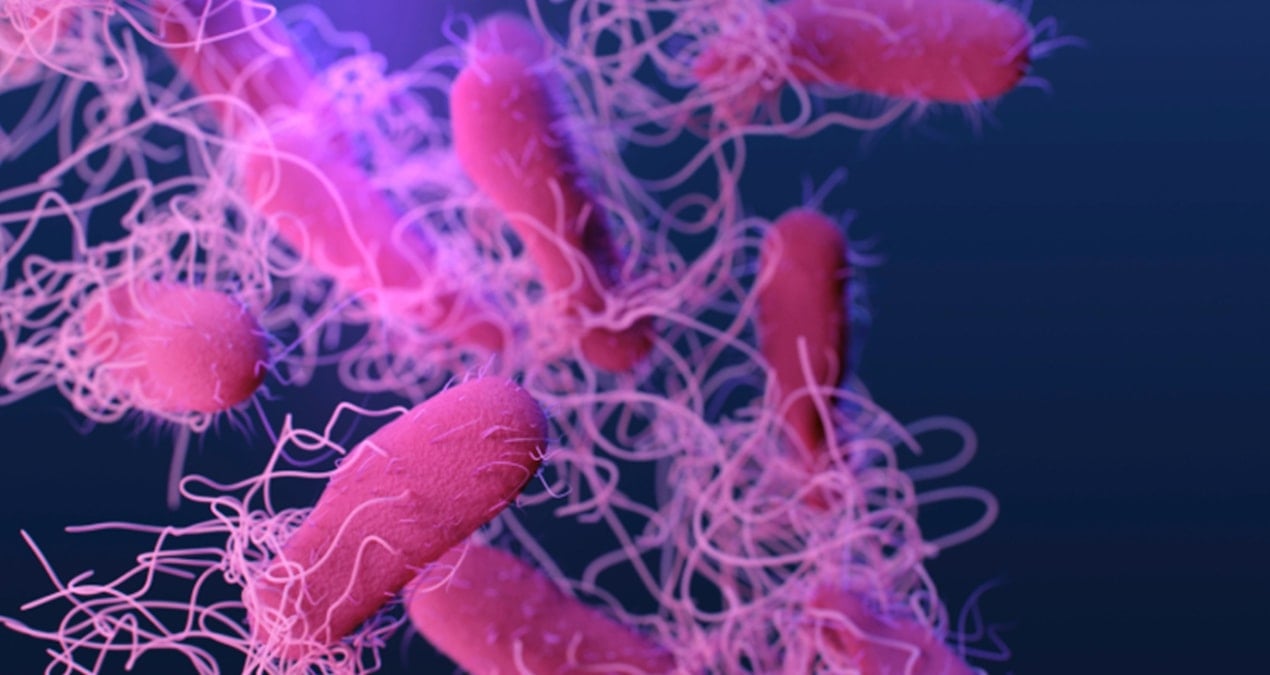 cig ya da iyi pisirilmemis hayvansal gidalardan bulasiyor alarm verildi PfY4UuMN