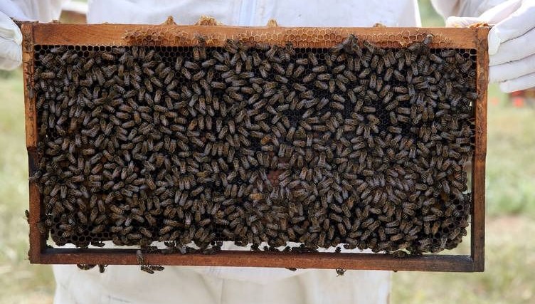 bu bala dikkat yarim tatli kasigi bile hastanelik ediyor NuPWpRL1