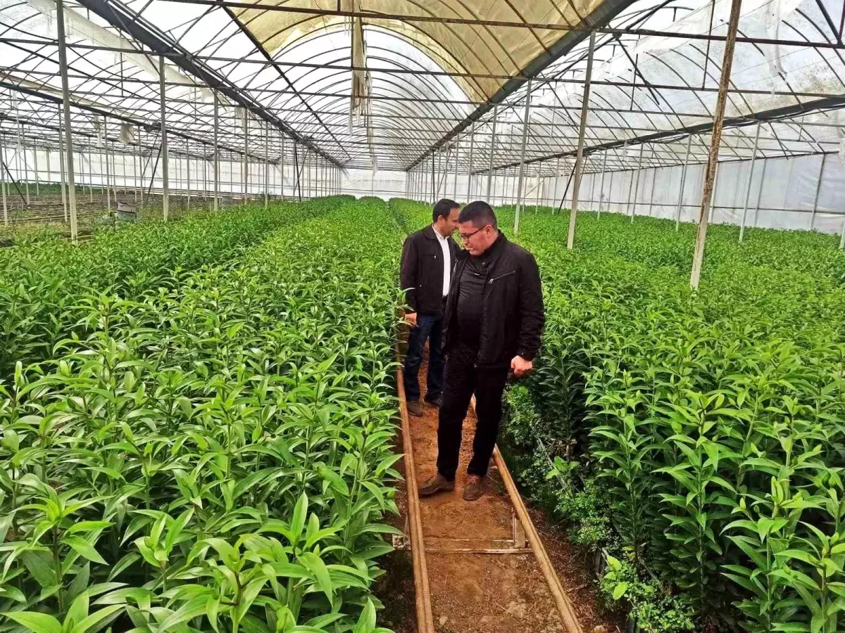 emette seracilik teknik gezisi KaXZyYq6.jpg