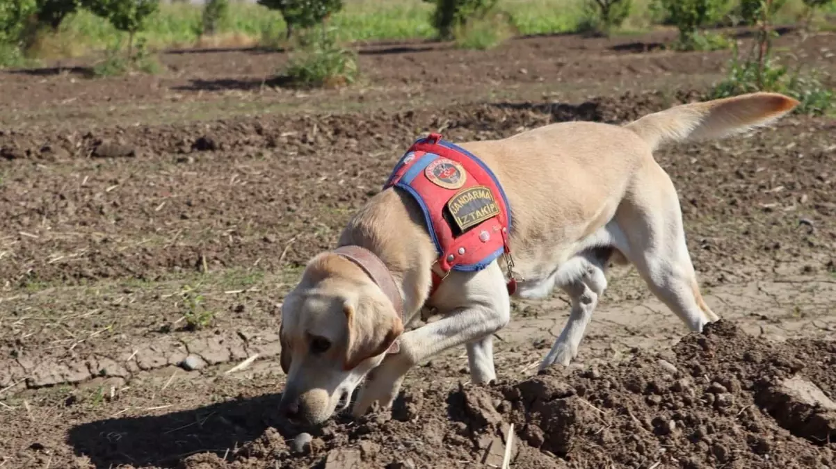 kayip alzheimer hastasi icin arama calismalari suruyor B9FkLCDA.jpg