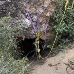 Inanilmaz olay magarada mahsur kalan adamin etrafindaki duzenek sok etti ekipler apar topar bolgeyi 9MxtunVA